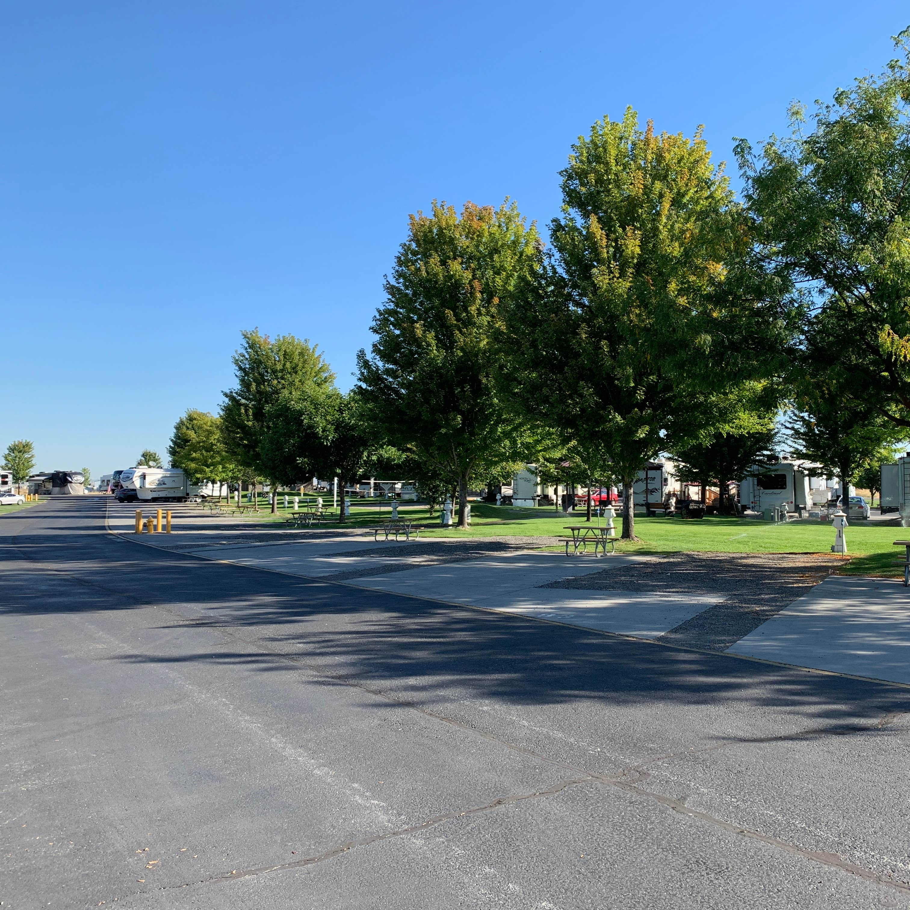 Horn Rapids RV Resort Camping The Dyrt