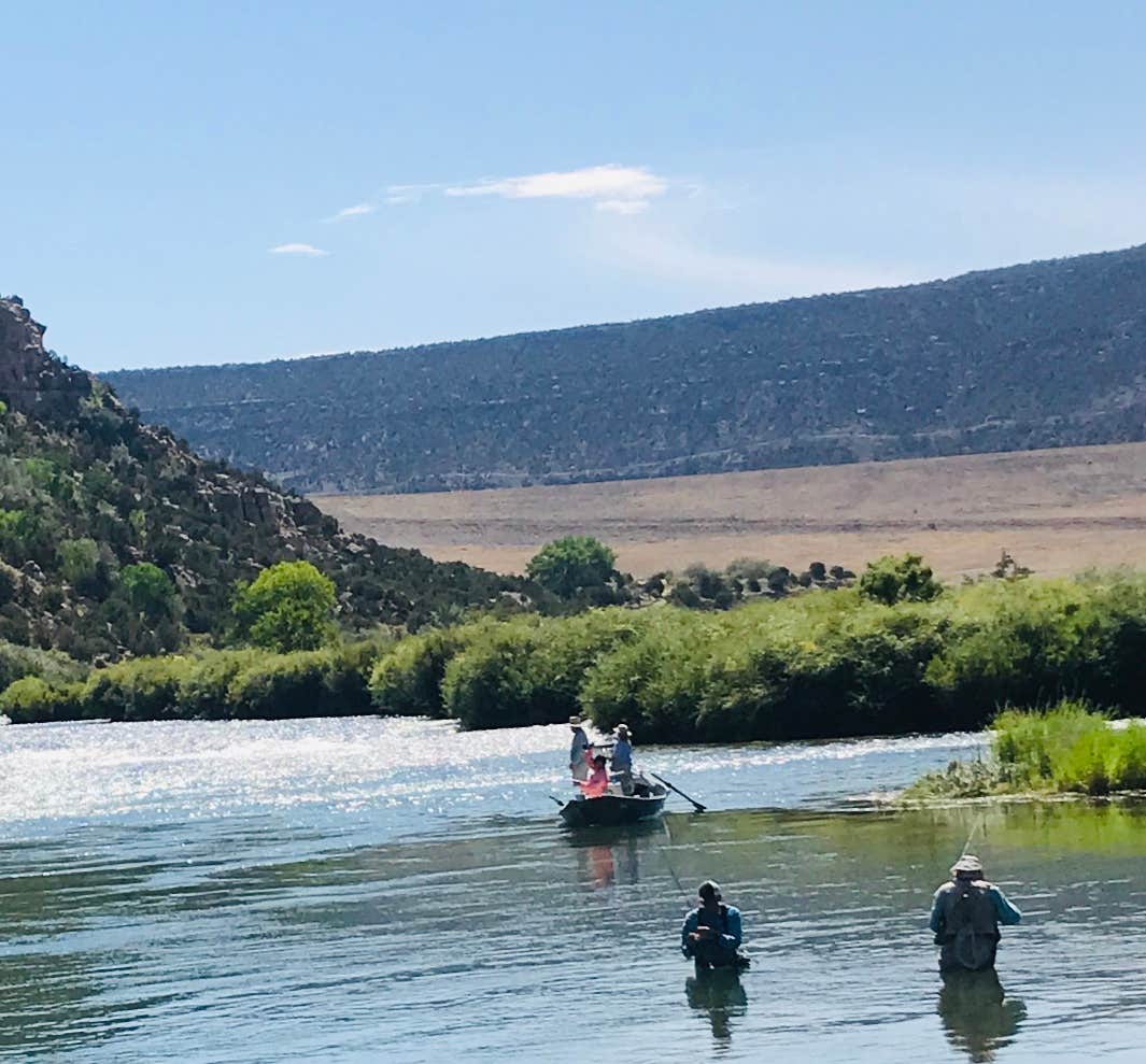 Cottonwood Campground The Dyrt