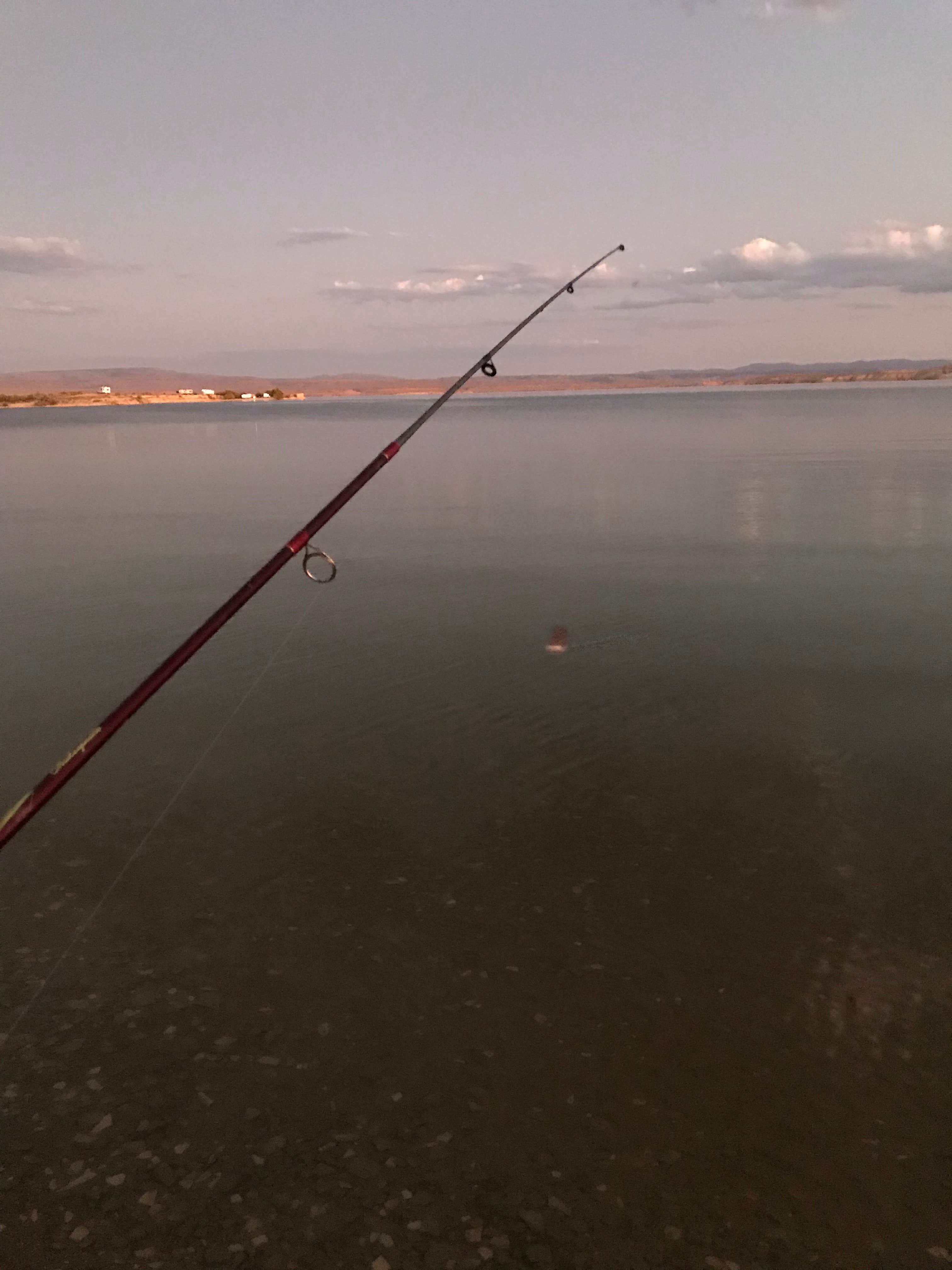 Camper submitted image from Buckboard Wash - Dispersed - 4