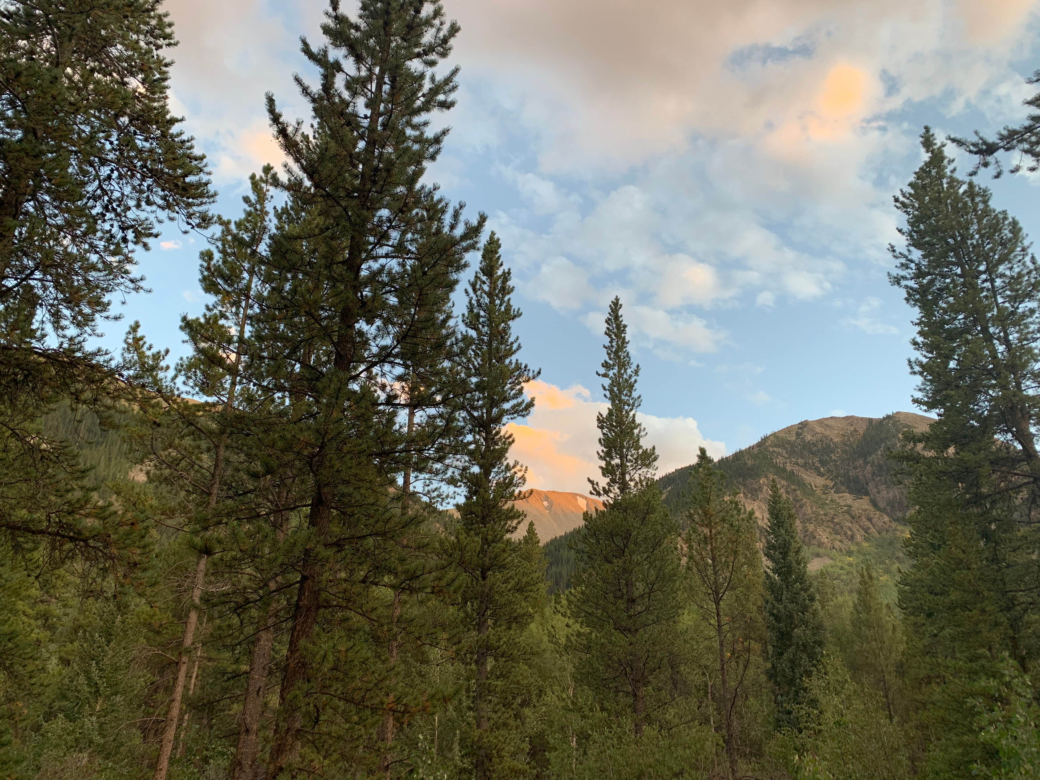 Camper-submitted photo at Chaffee County Road 390 Dispersed near Granite, CO