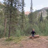 Review photo of Chaffee County Road 390 Dispersed by Sam D., September 4, 2019