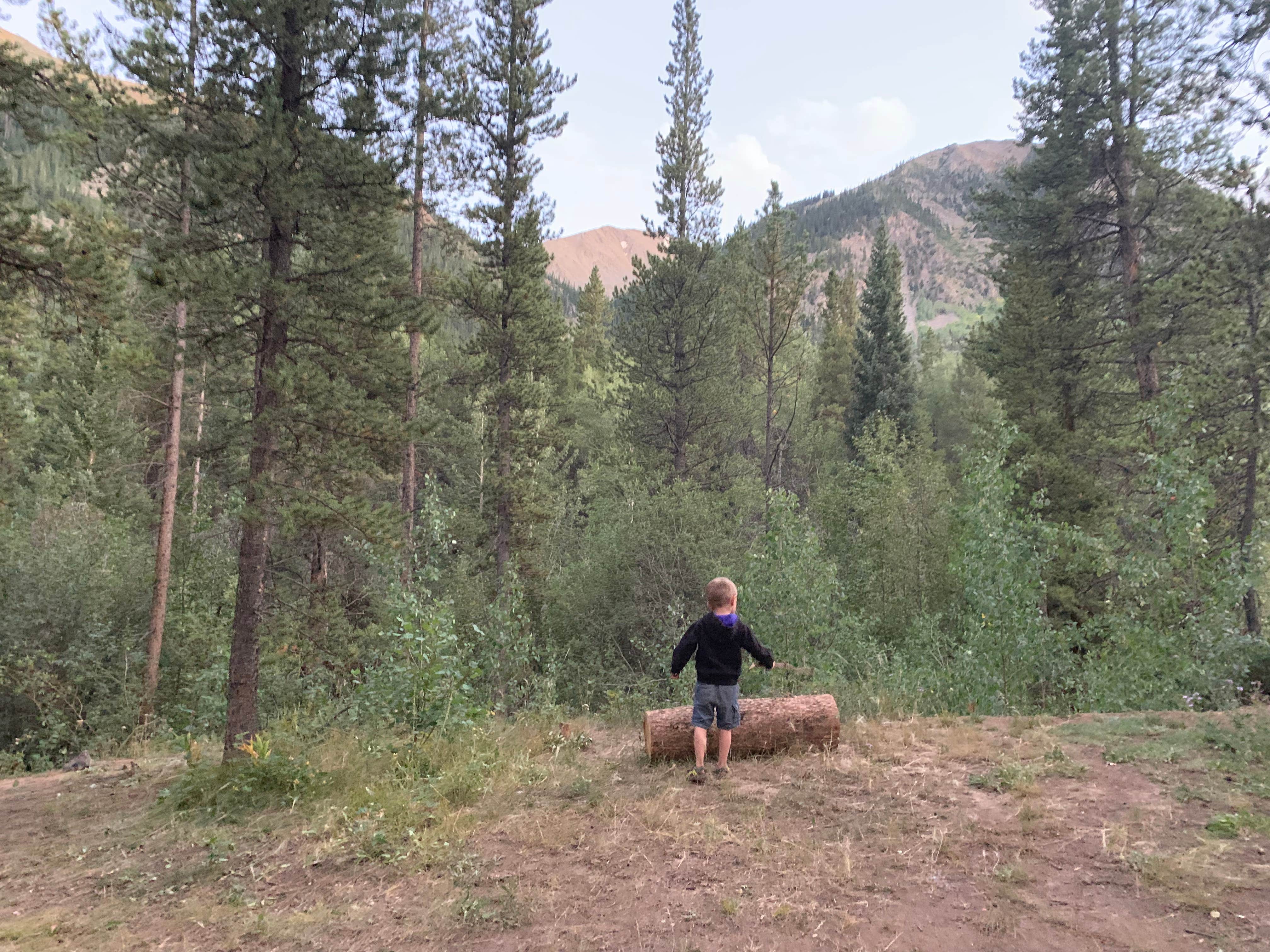 Camper submitted image from Chaffee County Road 390 Dispersed - 3