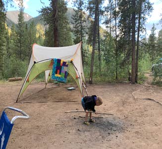 Camper-submitted photo from Chaffee County Road 390 Dispersed