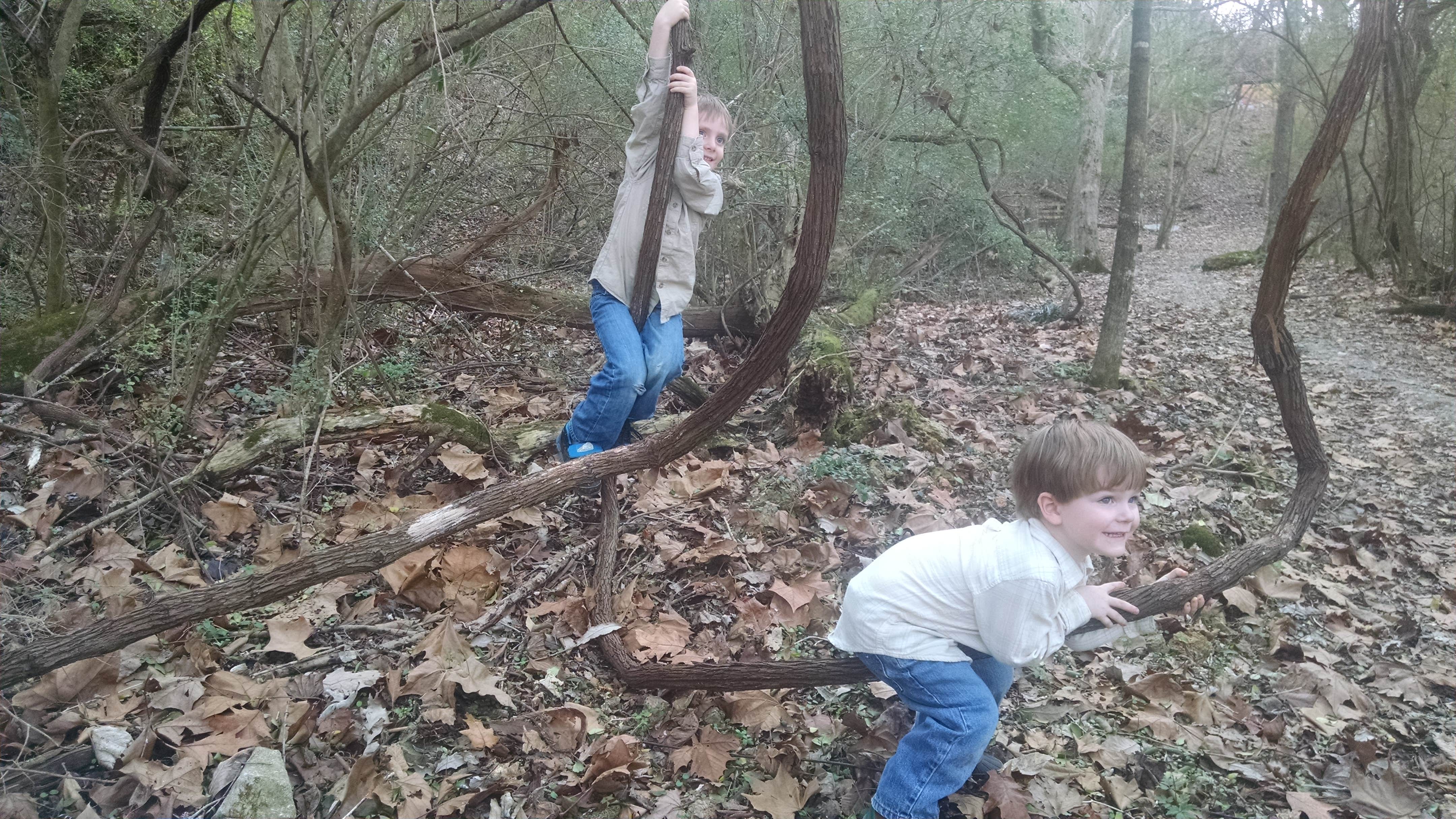 Camper-submitted photo at Wilson Dam near National Forests in Alabama