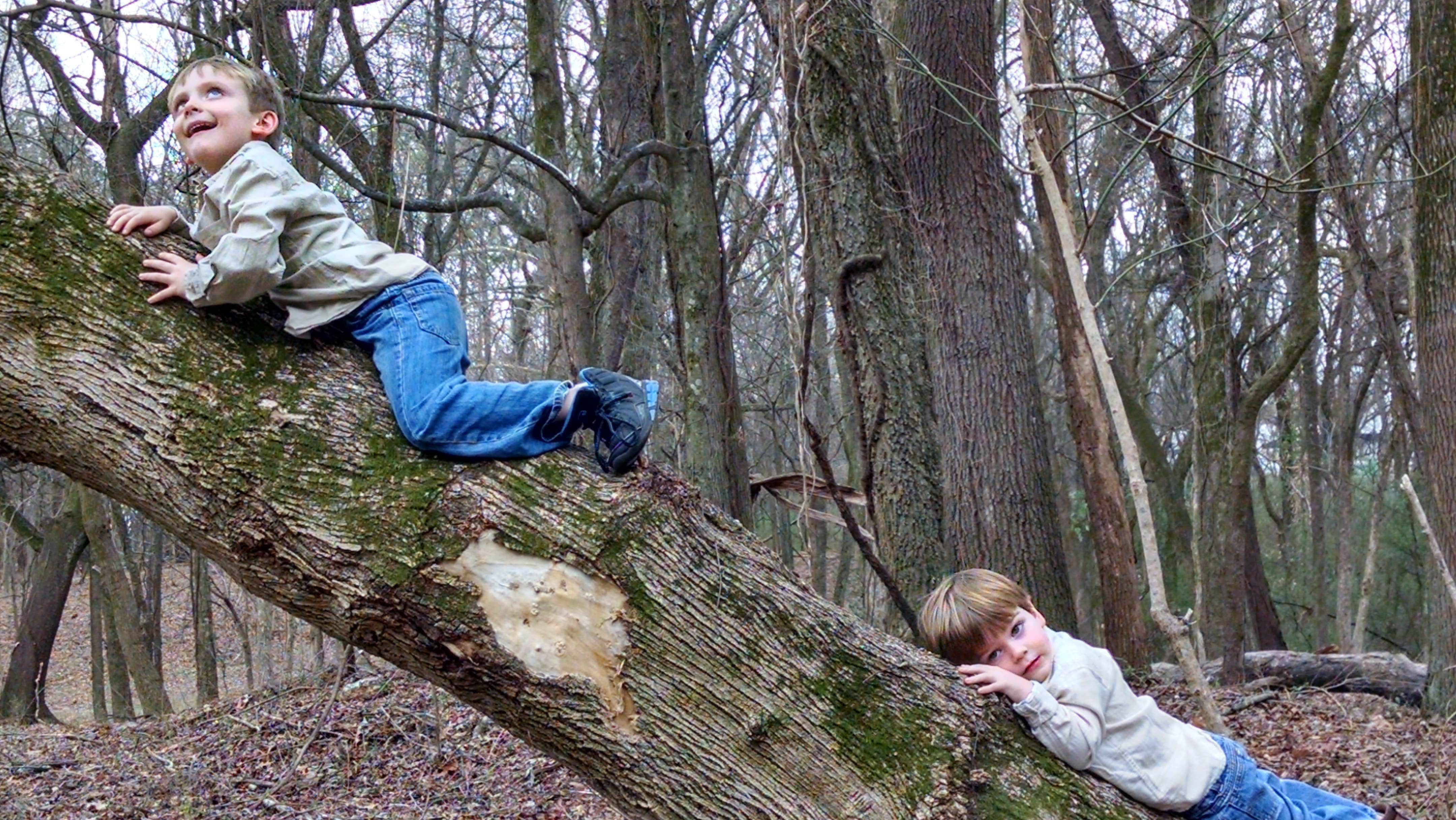 Camper-submitted photo at Wilson Dam near National Forests in Alabama