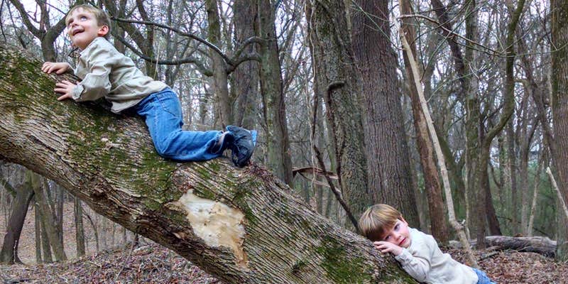 Camper submitted image from Wilson Dam