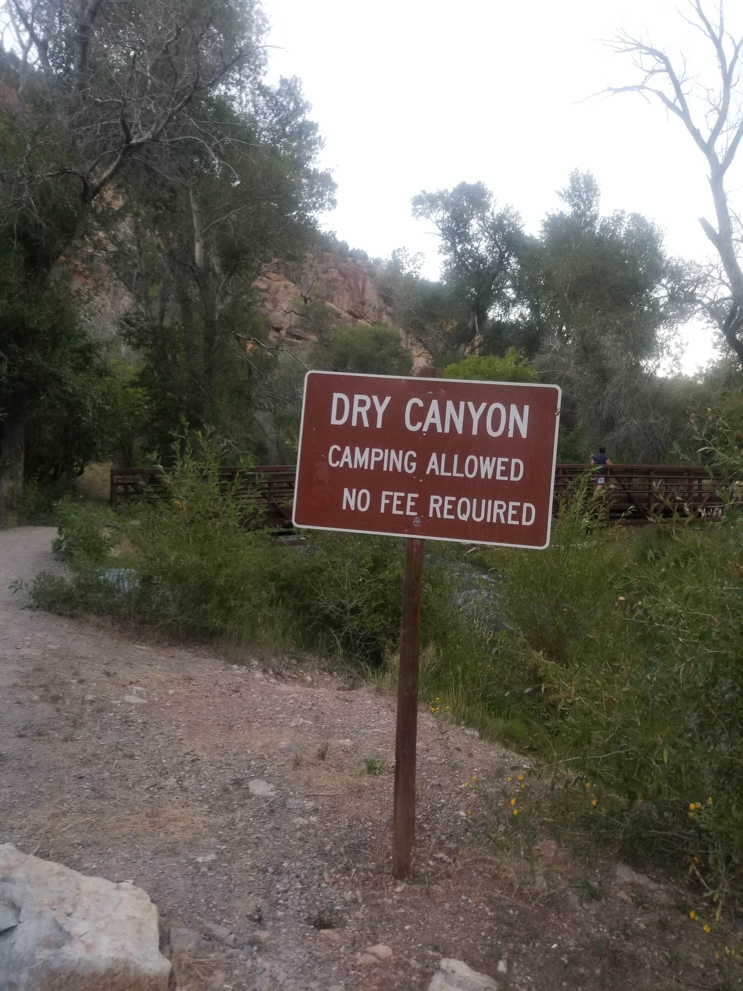 Camper submitted image from Dry Canyon - 2