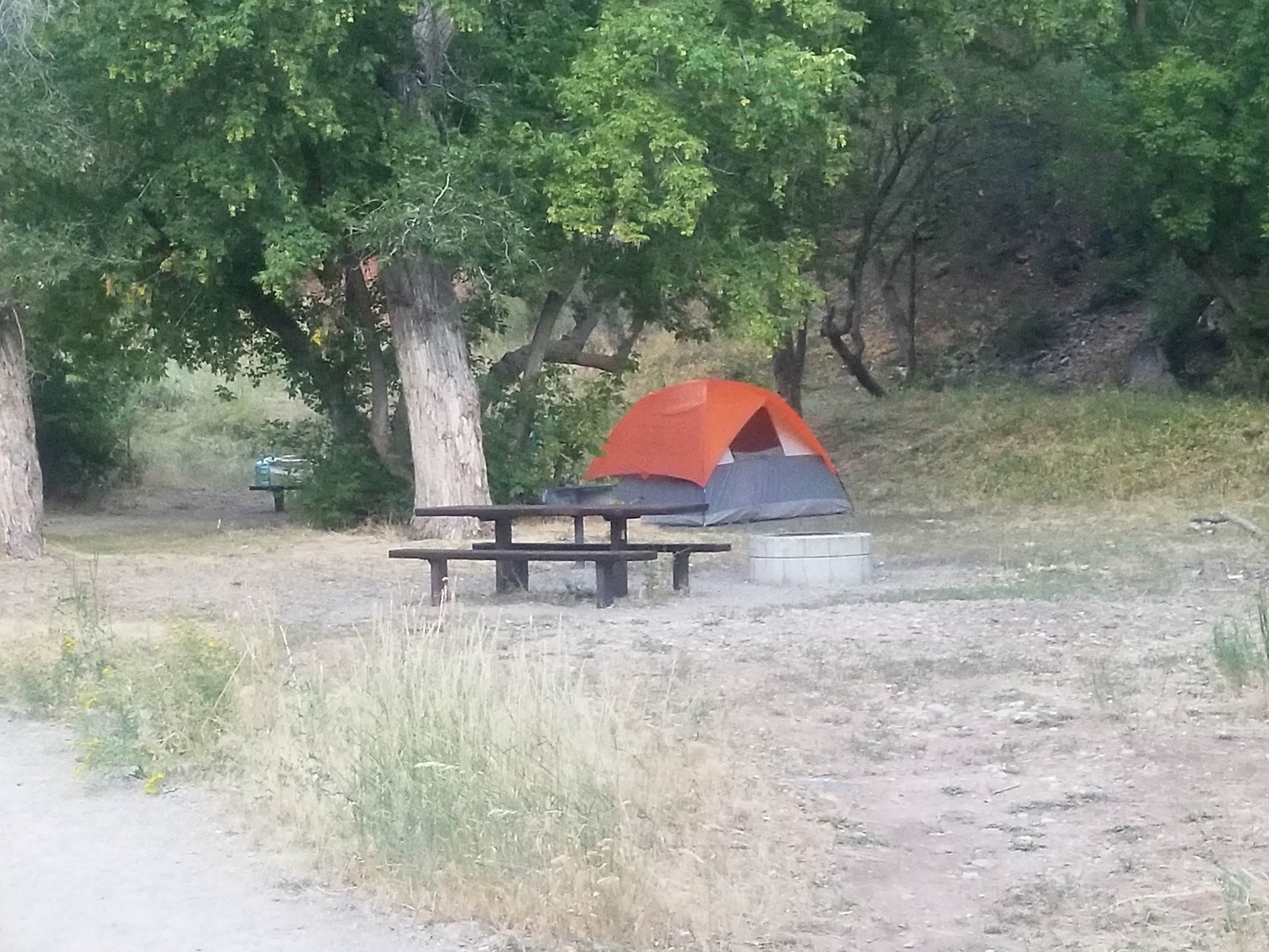 Brad B.'s photo of tent camping at Dry Canyon near Park City, UT