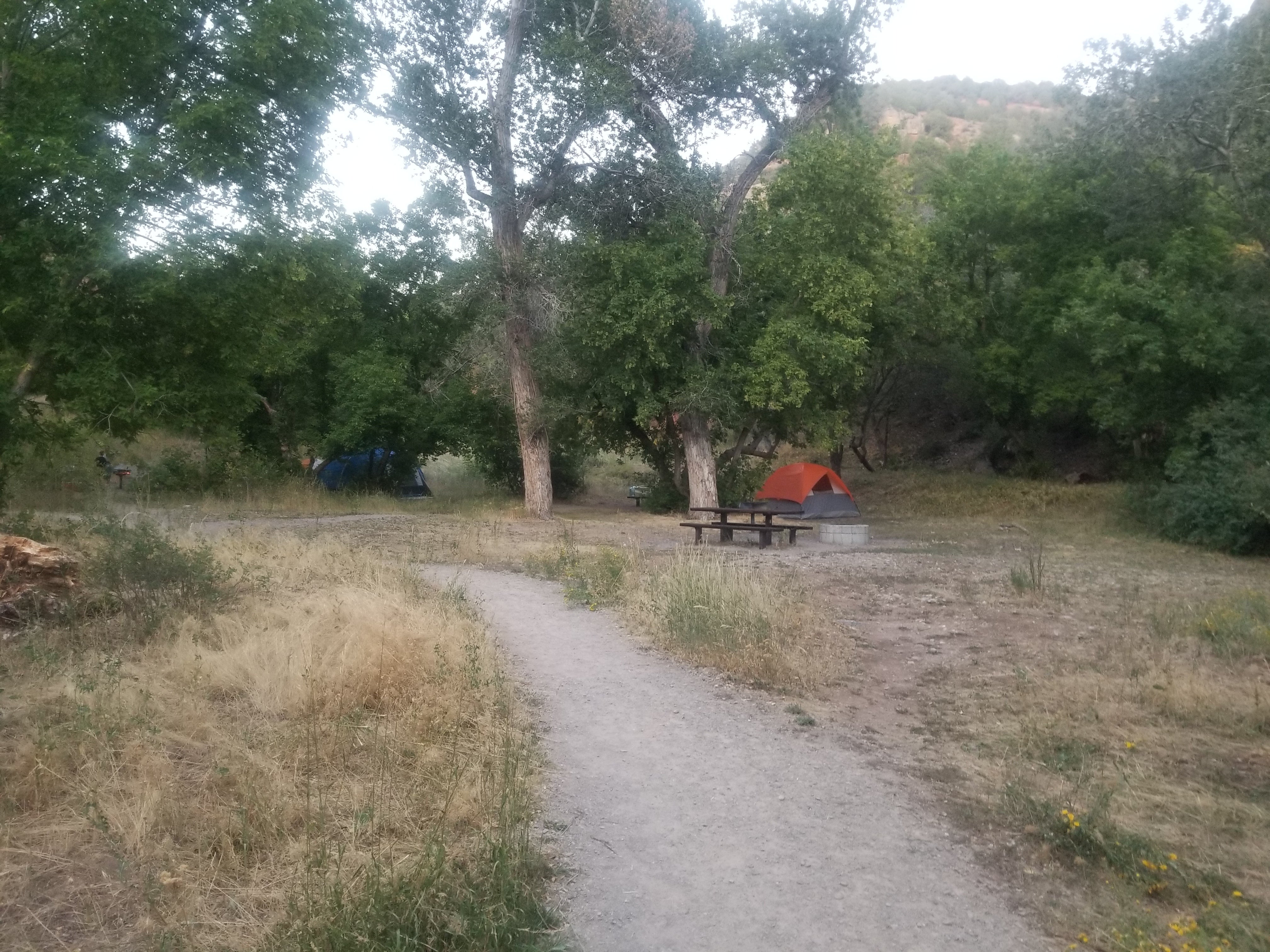 Camper submitted image from Dry Canyon - 5