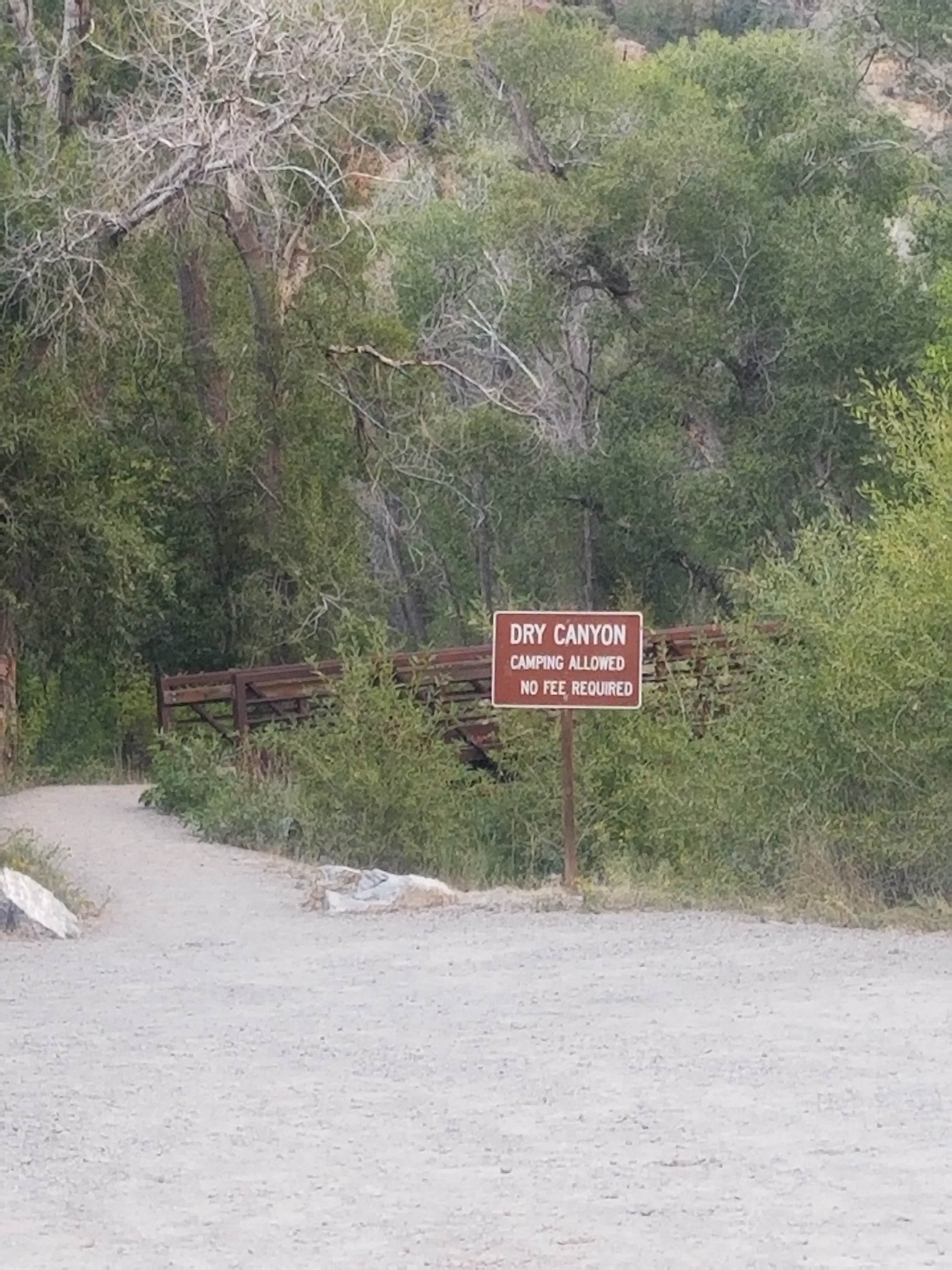 Camper submitted image from Dry Canyon - 5