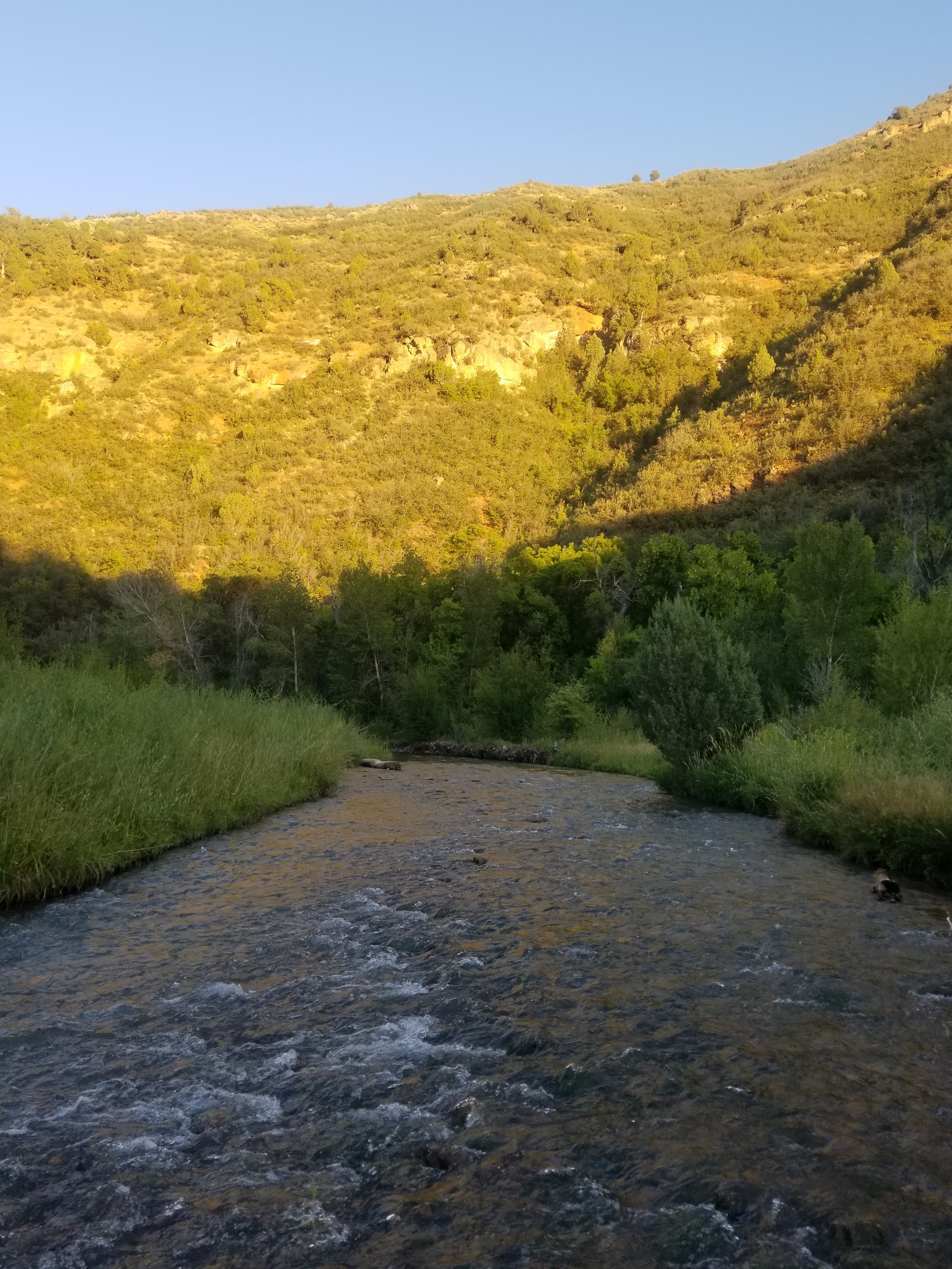 Camper submitted image from Dry Canyon - 3