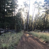 Review photo of Arizona Nordic Village by CJ T., September 4, 2019