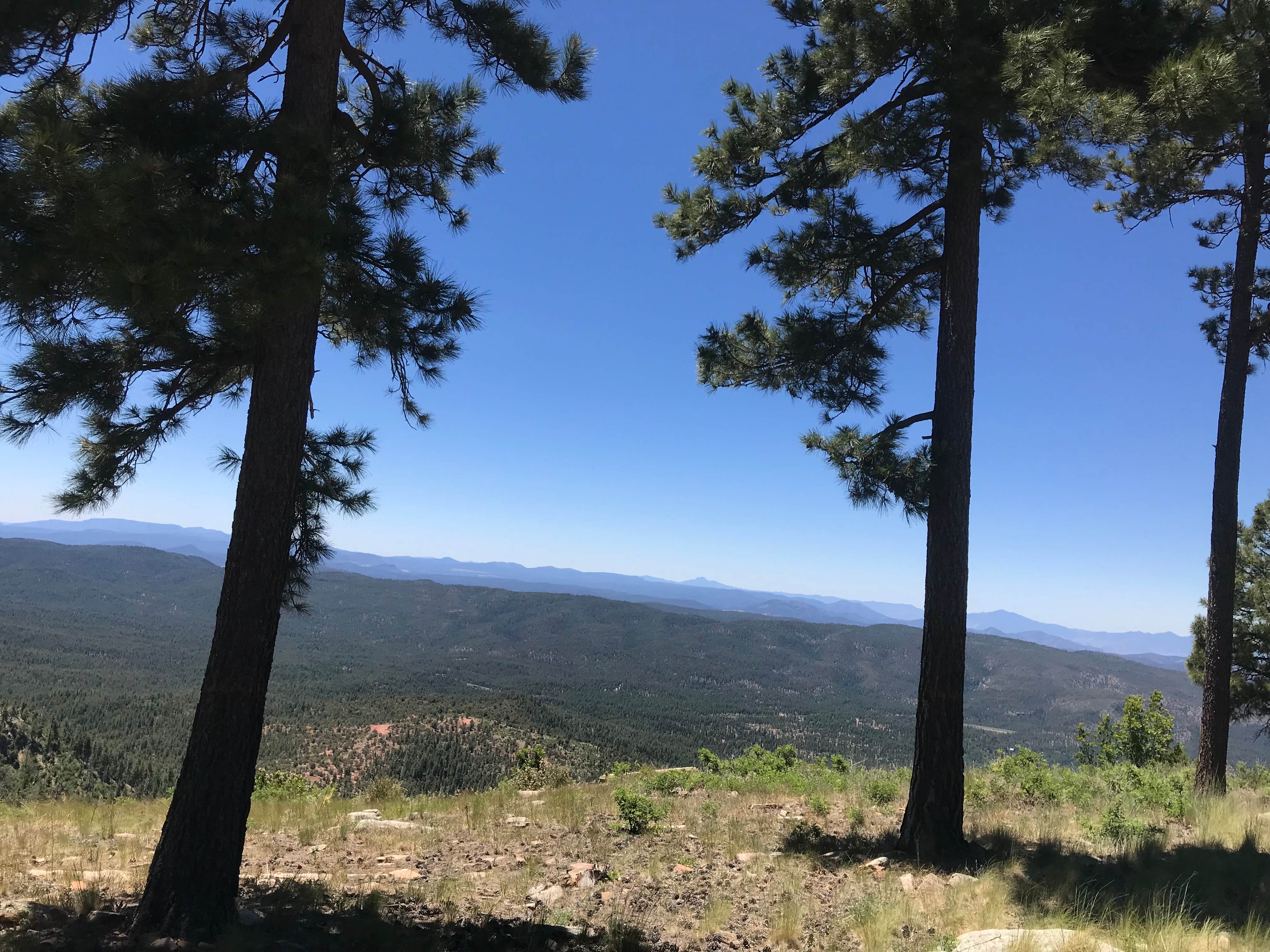 Camper-submitted photo at Carr Lake Campground on Forest Road 9350 near Sun Valley, AZ