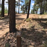 Review photo of Carr Lake Campground on Forest Road 9350 by CJ T., September 4, 2019