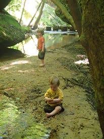 Camper submitted image from Dismals Canyon Cabins and Primitive Campsites - 4