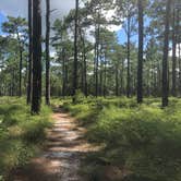 Review photo of Wekiwa Springs State Park Campground by Jenn B., September 4, 2019