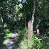 Review photo of Wekiwa Springs State Park Campground by Jenn B., September 4, 2019