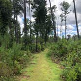 Review photo of Wekiwa Springs State Park Campground by Jenn B., September 4, 2019