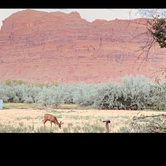 Review photo of Sun Outdoors Arches Gateway by Justin C., September 5, 2019