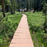Review photo of Timber Creek Campground — Rocky Mountain National Park by Justin C., September 5, 2019