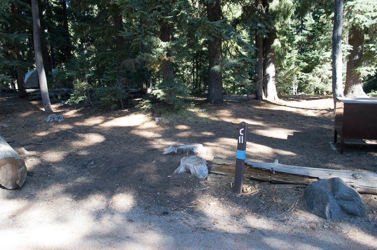 Camper submitted image from Mazama Village Campground — Crater Lake National Park - 3