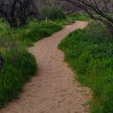 Review photo of Catalina State Park Campground by Nova H., September 5, 2019