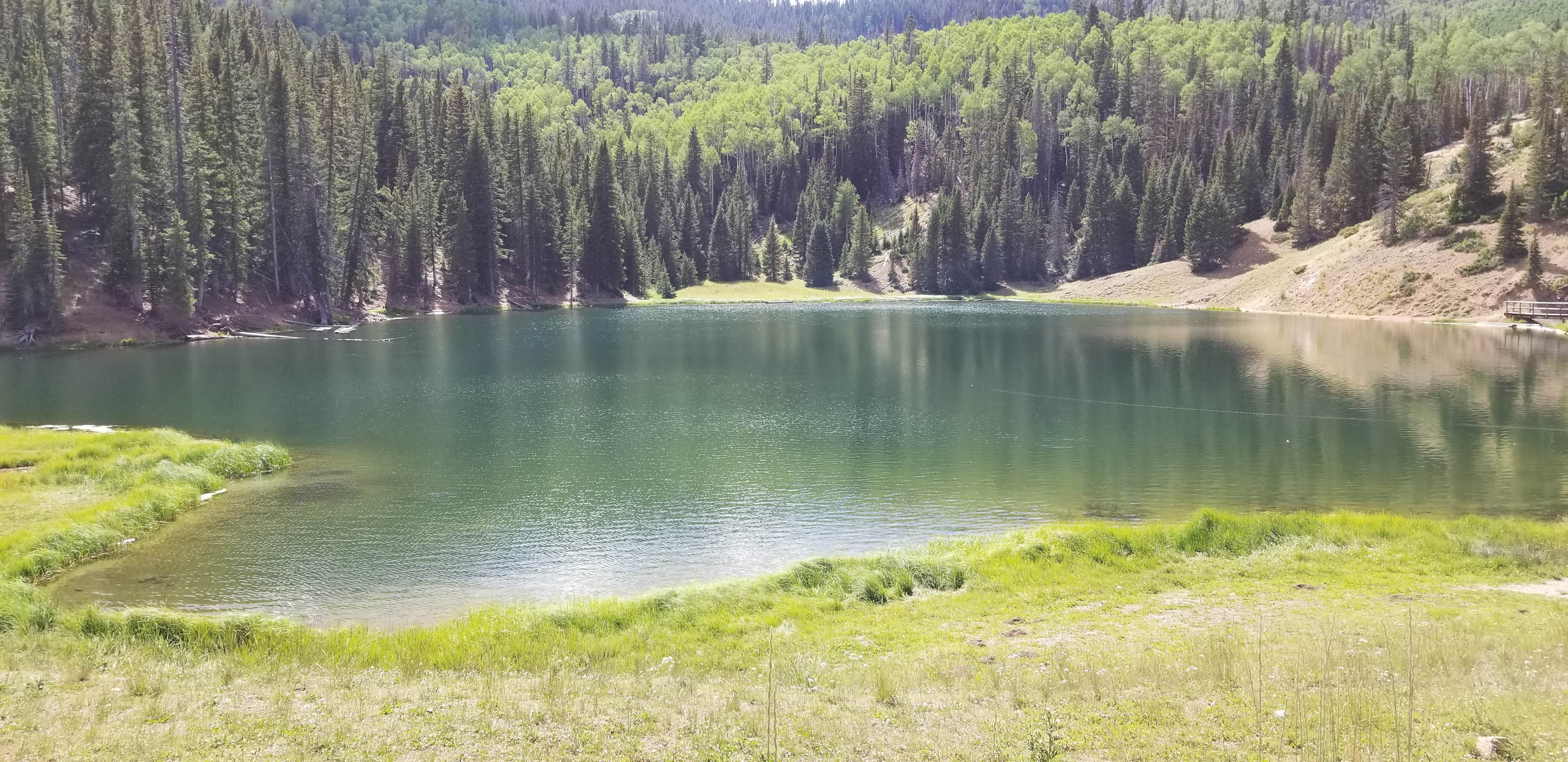 Anderson Meadow Reservoir