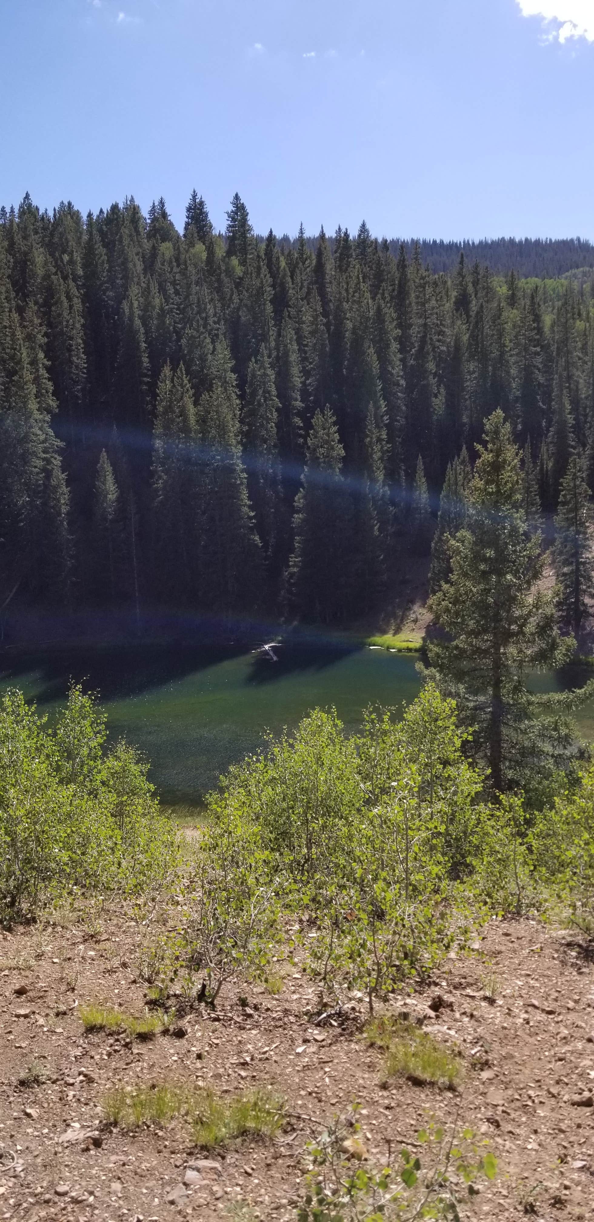 View from between spot 3 & 4.