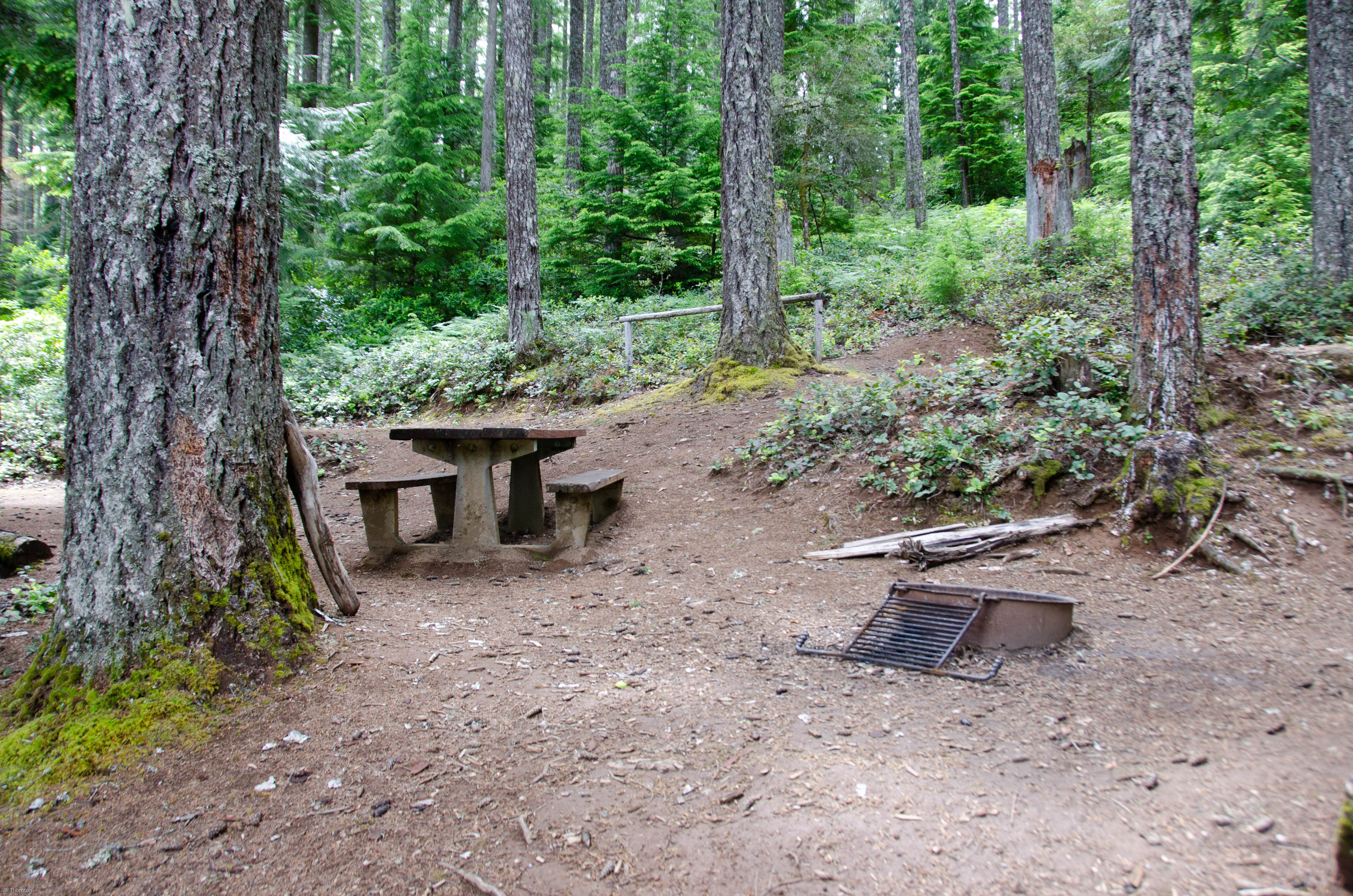 Camper submitted image from Piety Island Boat - In Campground Boat Landing - 3