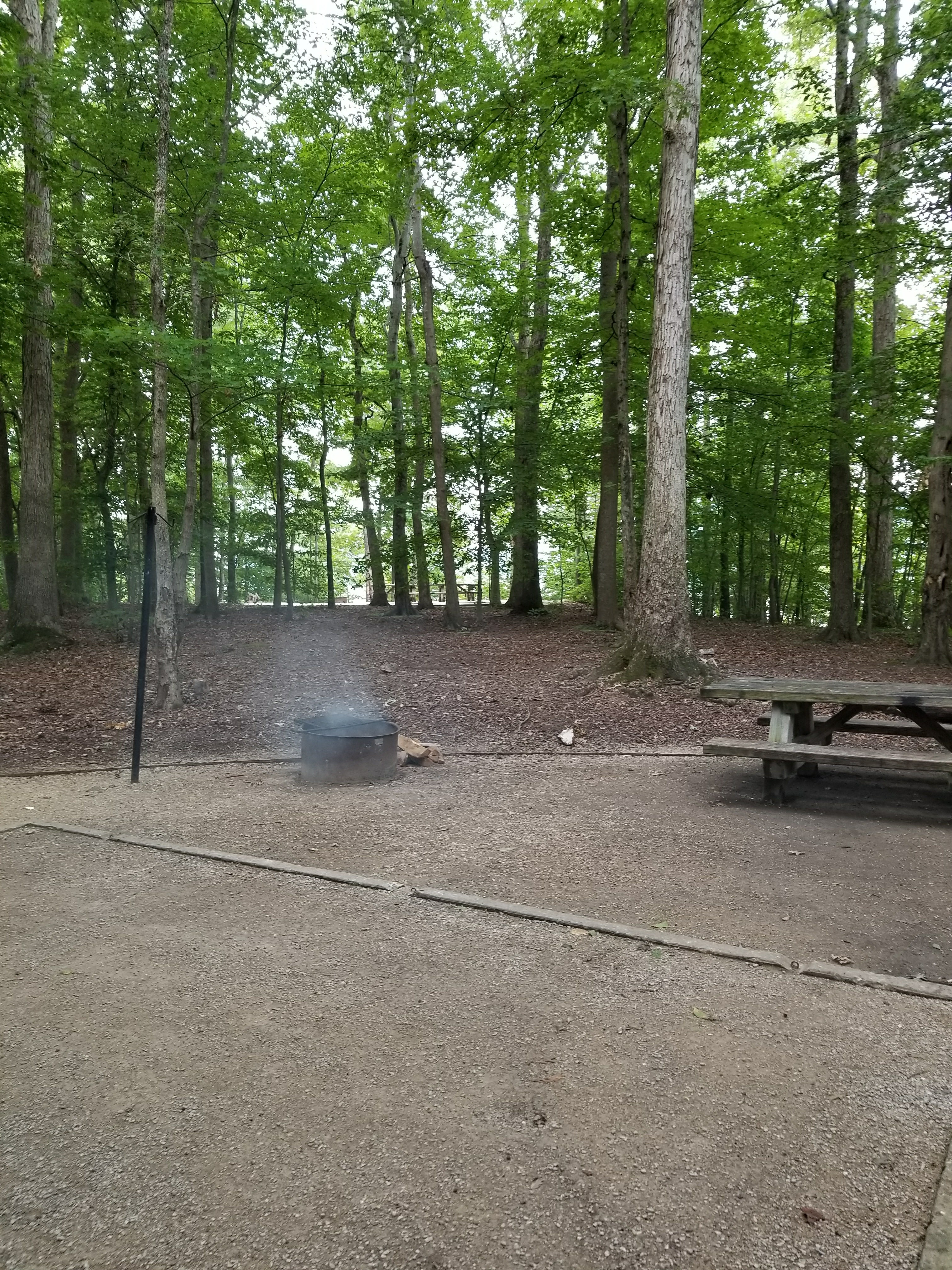 Camper submitted image from Twin Knobs Recreation Area - 2