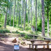 Review photo of Piety Island Boat - In Campground Boat Landing by Jill T., September 5, 2019