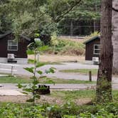 Review photo of Dosewallips State Park Campground by Rich M., September 5, 2019