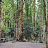 Review photo of Dosewallips State Park Campground by Rich M., September 5, 2019