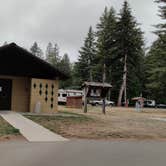 Review photo of Dosewallips State Park Campground by Rich M., September 5, 2019