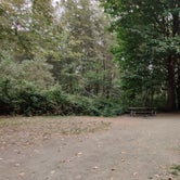 Review photo of Dosewallips State Park Campground by Rich M., September 5, 2019