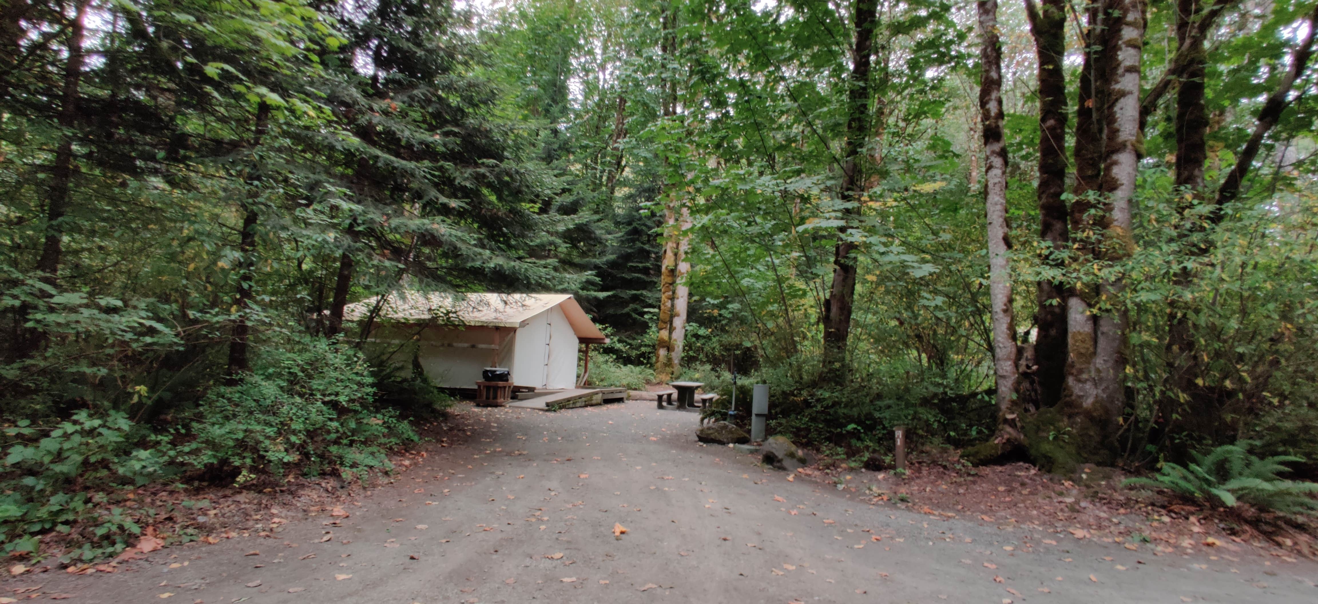 Rich M.'s photo of a cabin at Dosewallips State Park Campground near Hobart, WA