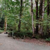 Review photo of Dosewallips State Park Campground by Rich M., September 5, 2019