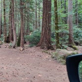 Review photo of Seal Rock Campground by Rich M., September 5, 2019