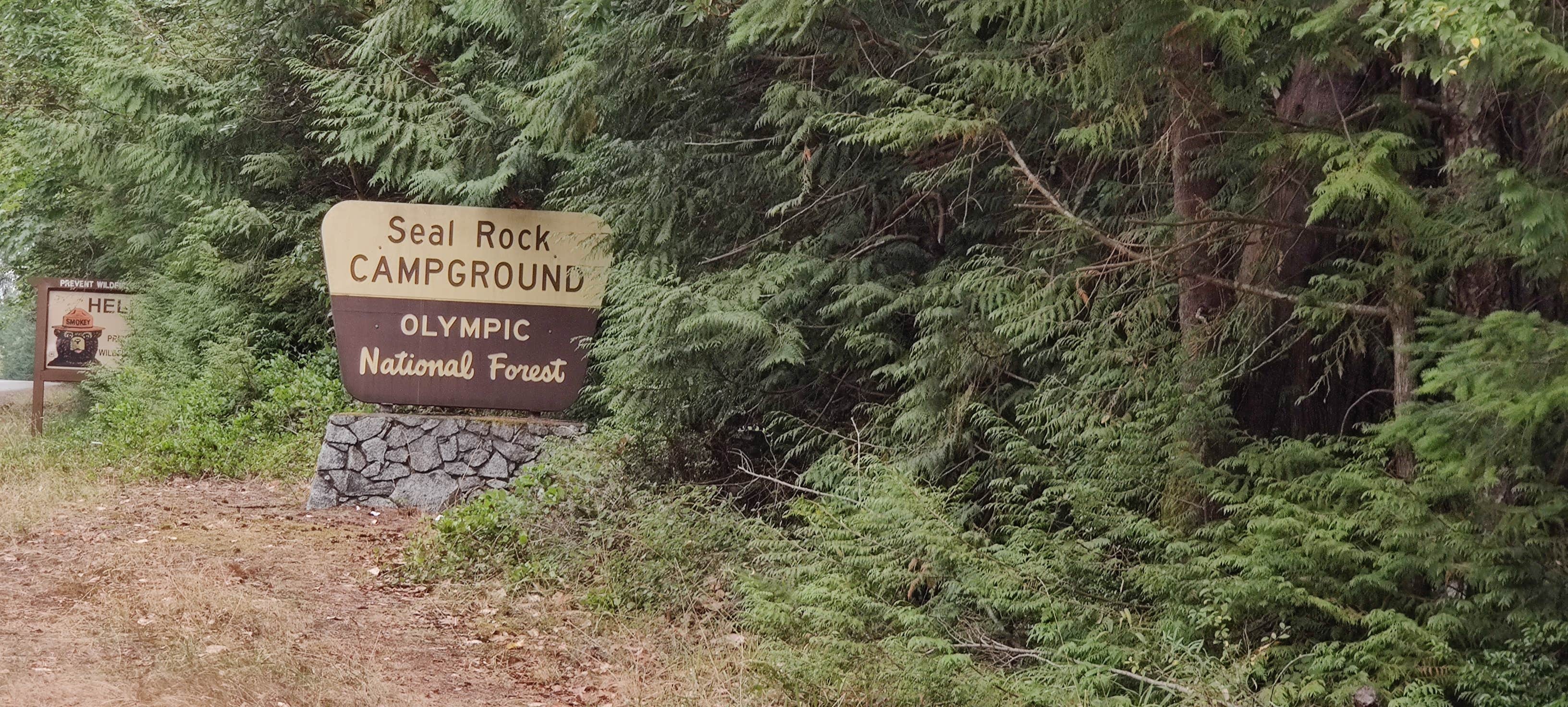 Seal Rock Campground The Dyrt