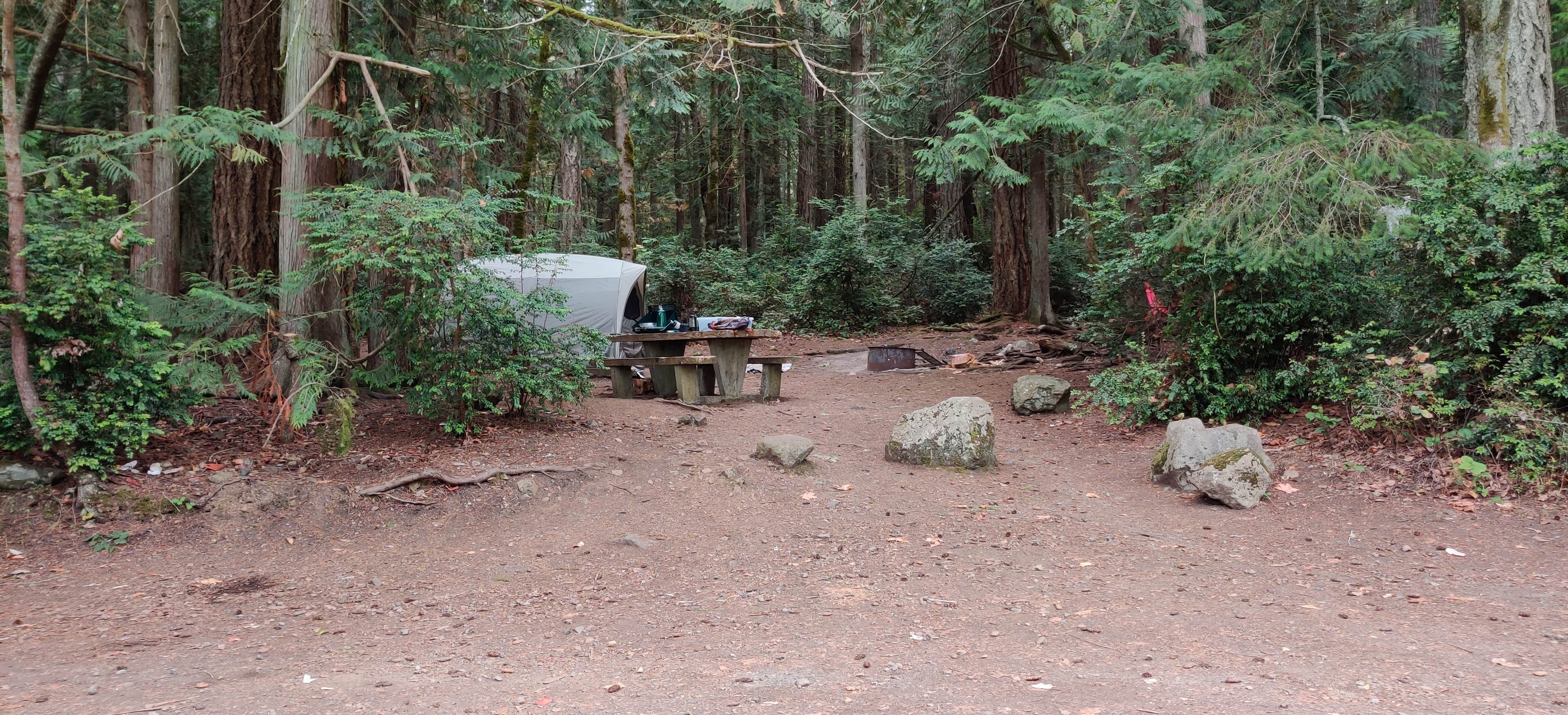 Rich M.'s photo at Seal Rock Campground near Kingston, WA
