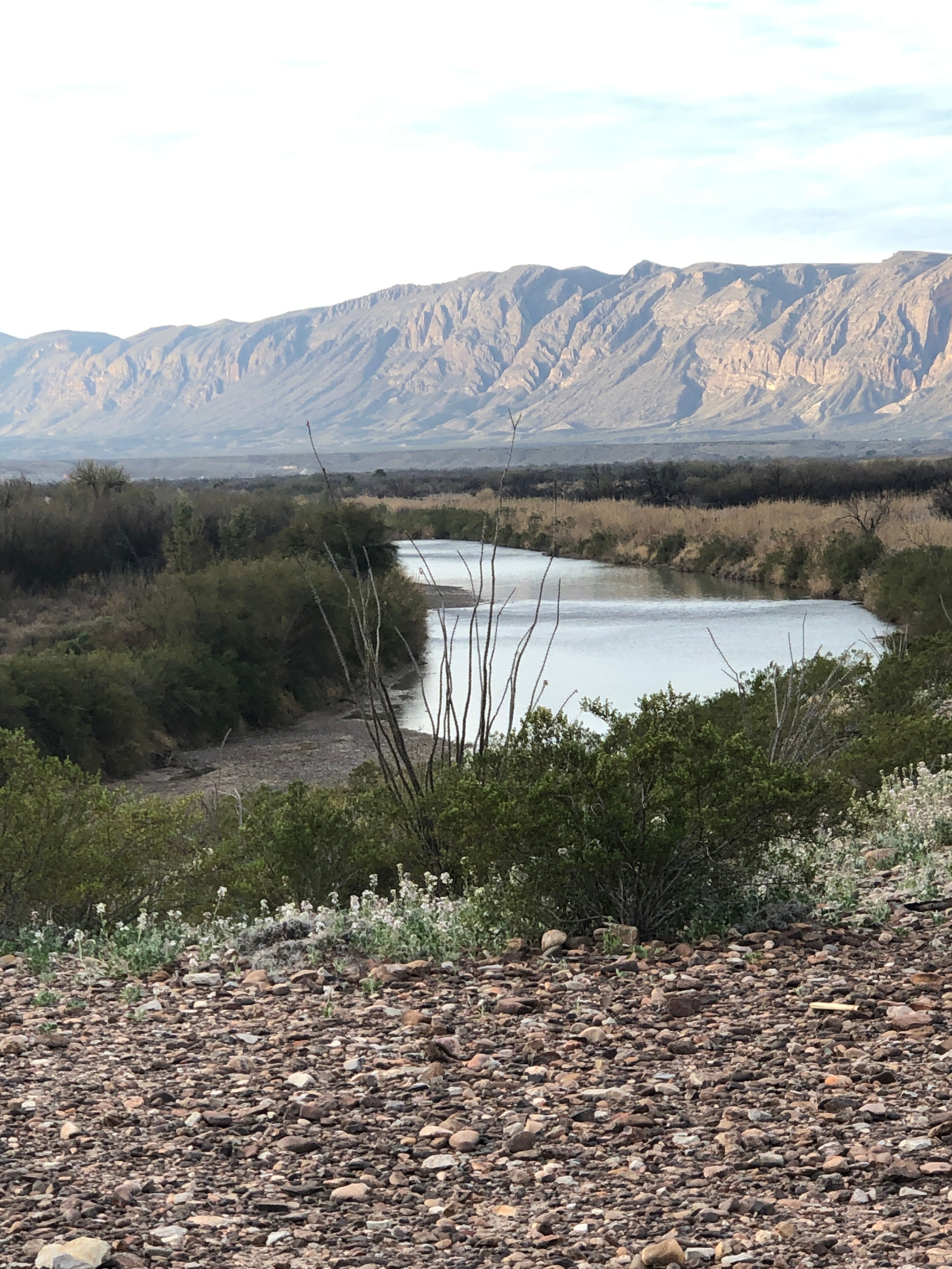 Camper submitted image from La Clocha 1 — Big Bend National Park - 4