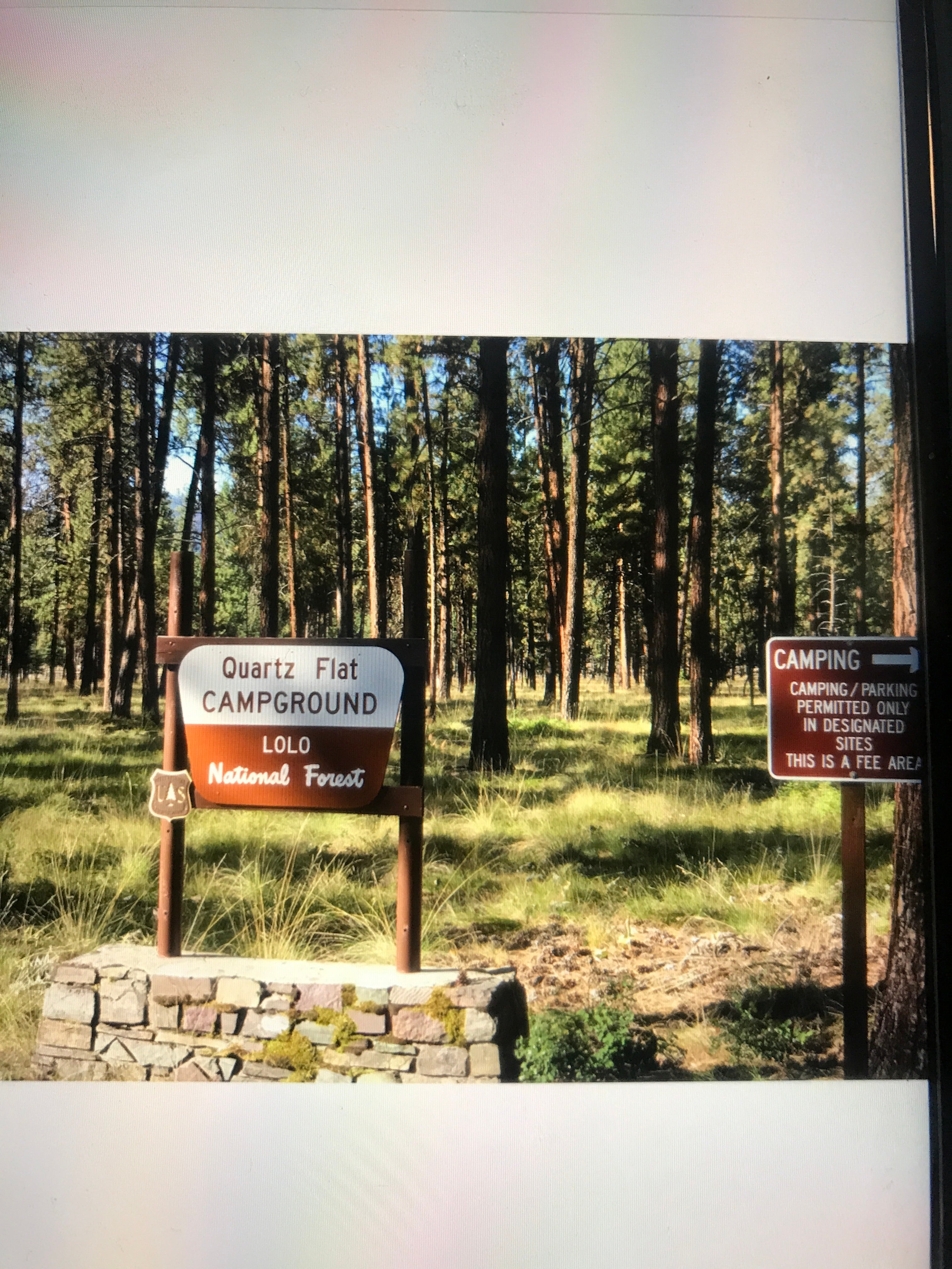 Camper submitted image from Quartz Flat Campground - 4