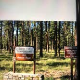 Review photo of Quartz Flat Campground by Teresa H., September 5, 2019