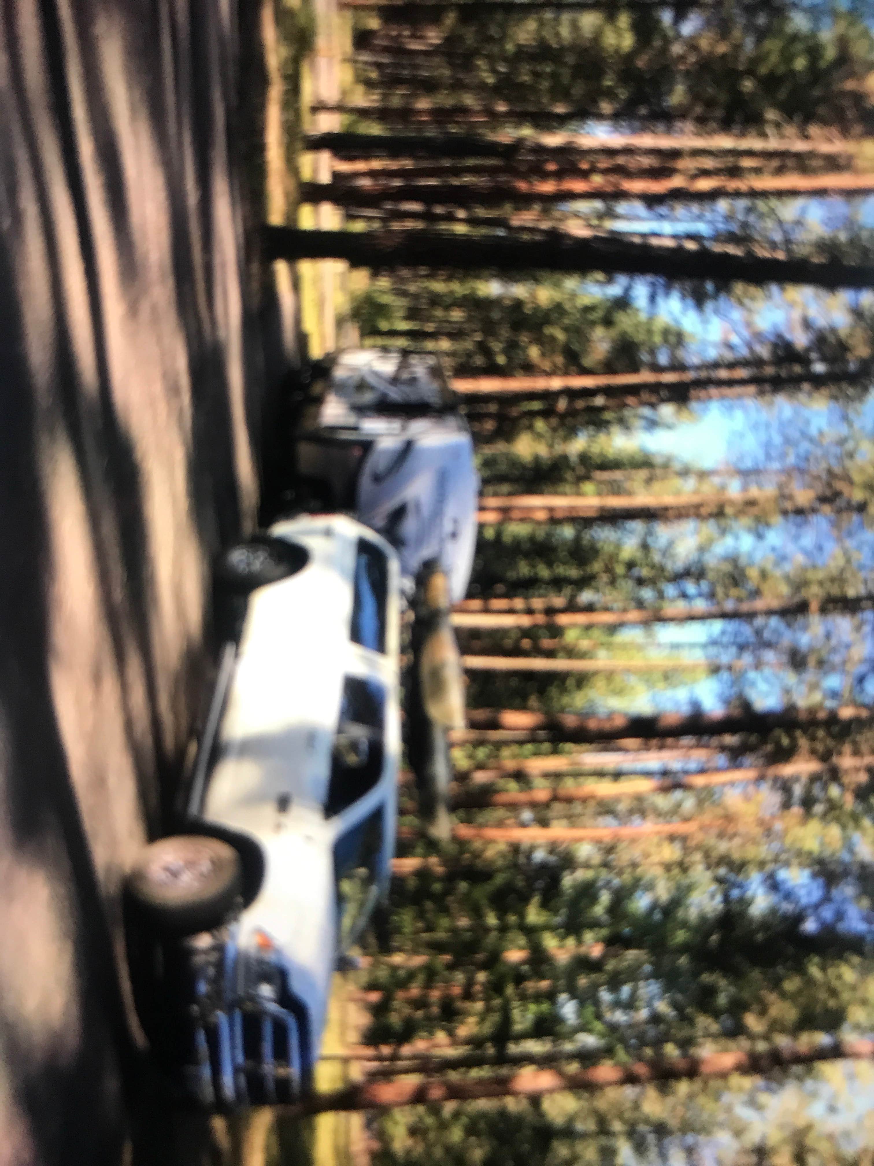 Camper submitted image from Quartz Flat Campground - 2