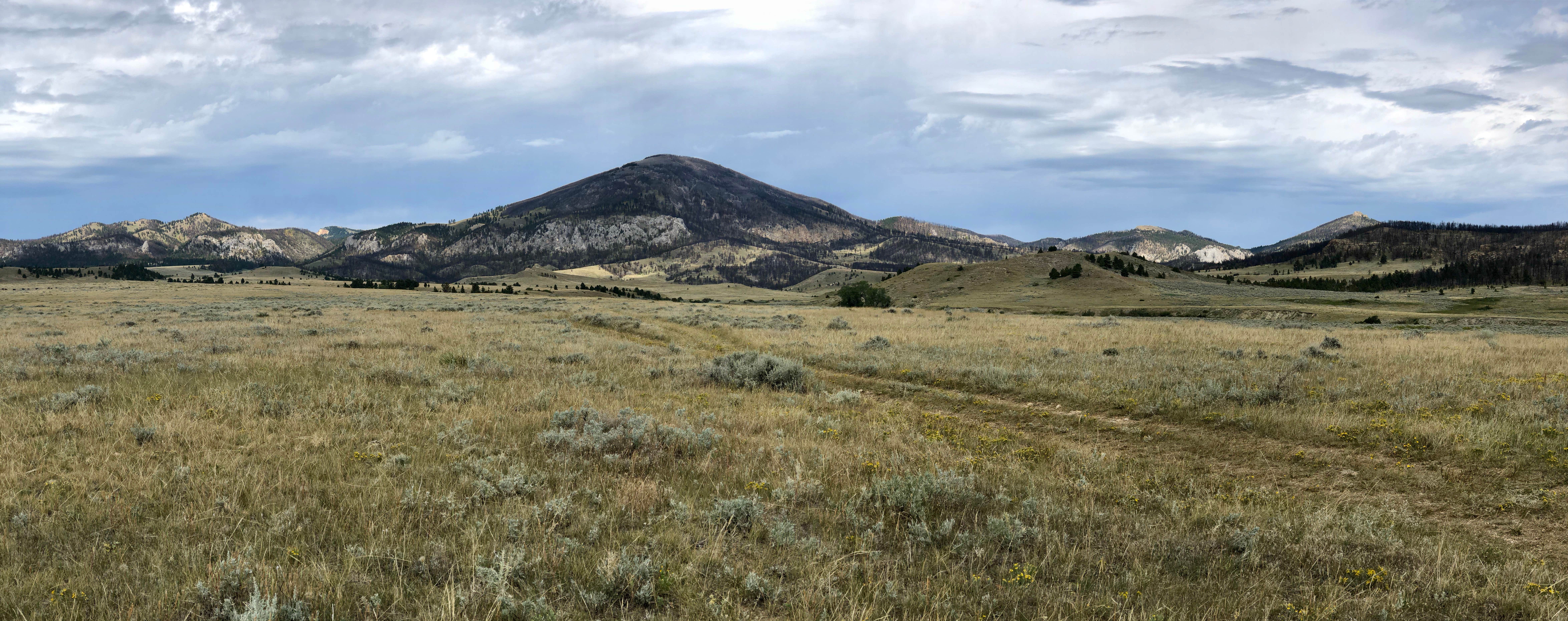 Camping near Antelope Creek: Montana Gulch, Zortman, Montana