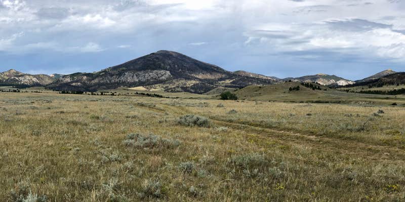 Camper submitted image from Montana Gulch