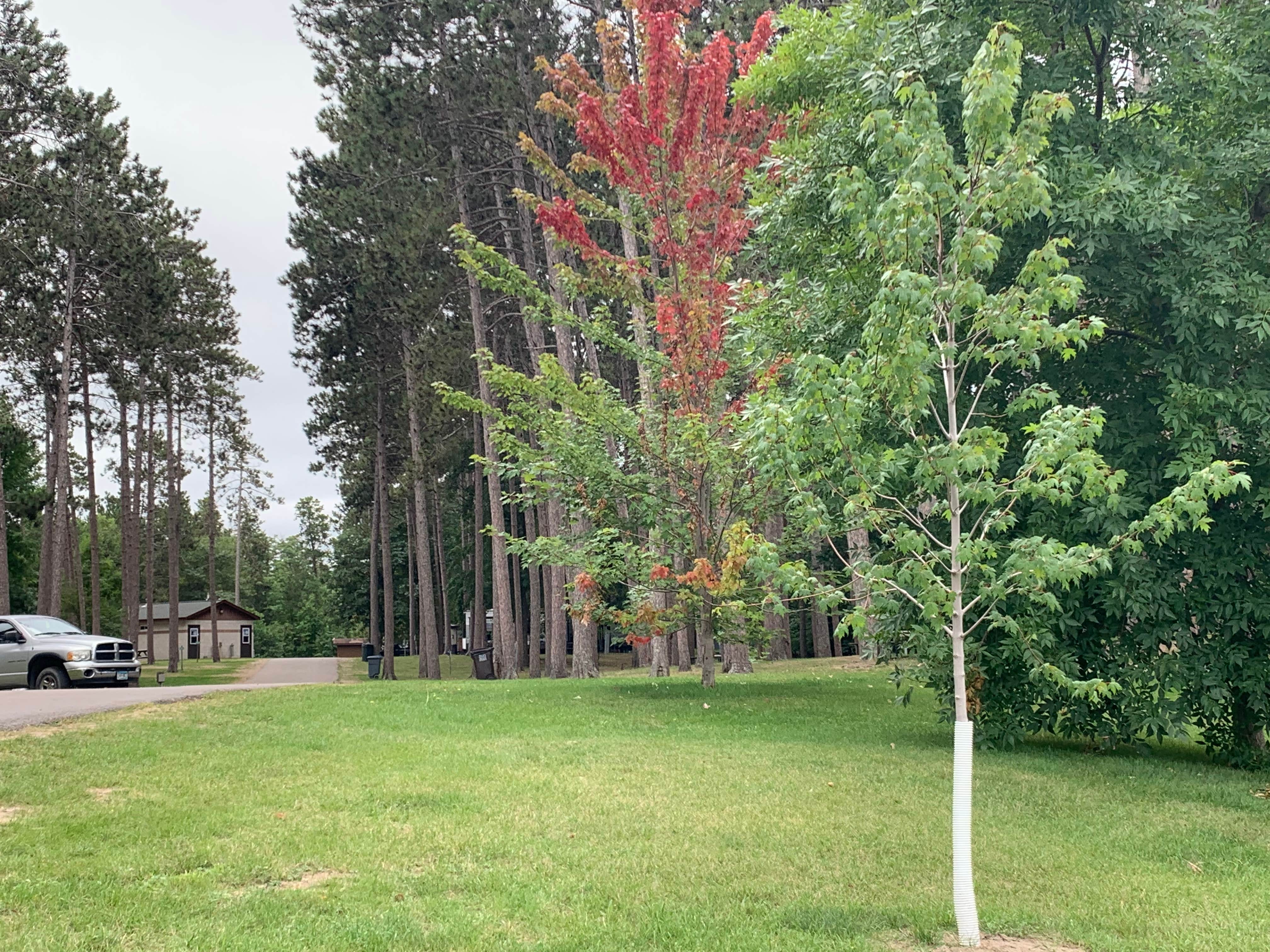 Camper-submitted photo at Stony Pt Resort and Campground near Chippewa National Forest