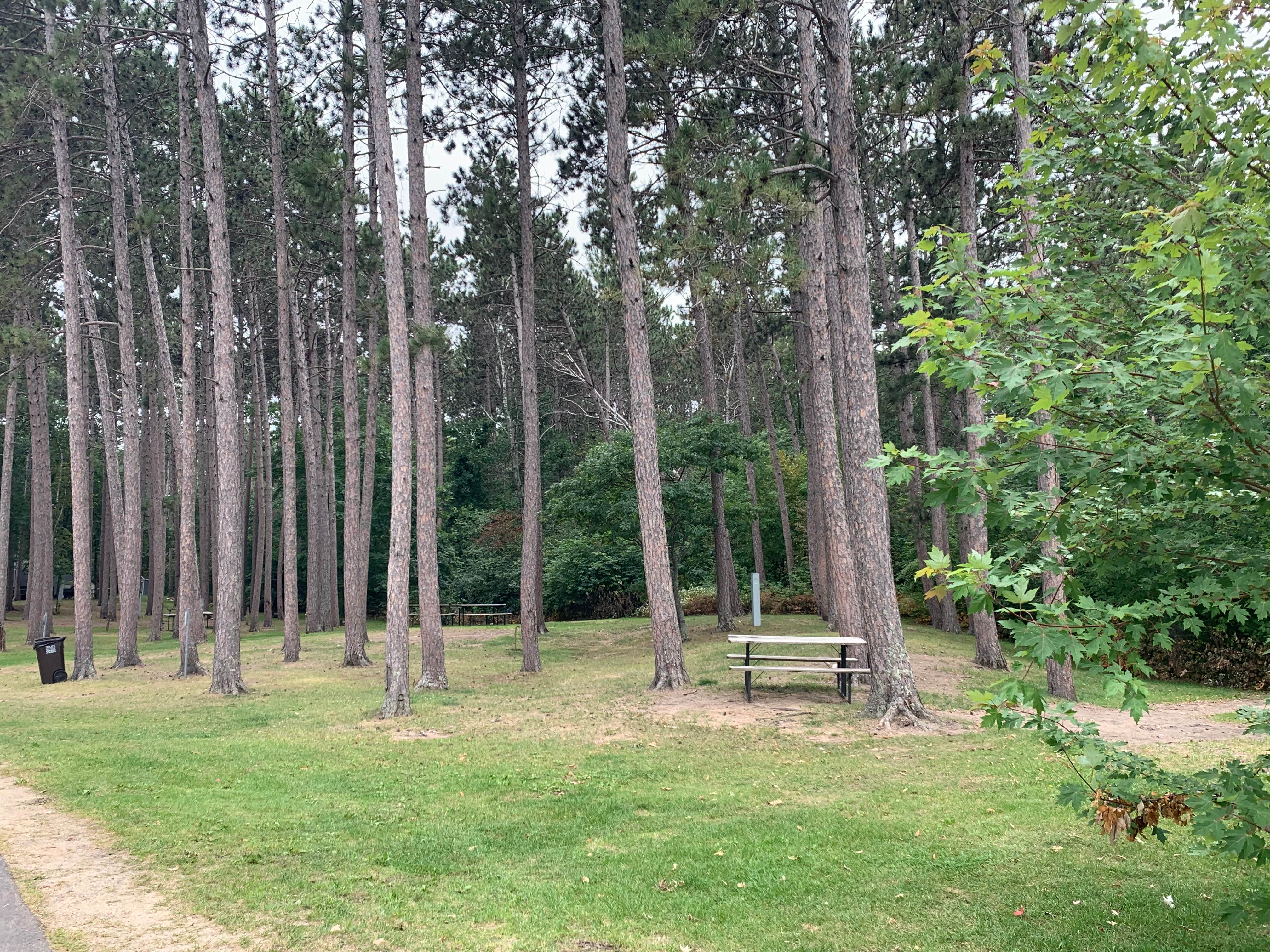 Camper-submitted photo at Stony Pt Resort and Campground near Chippewa National Forest