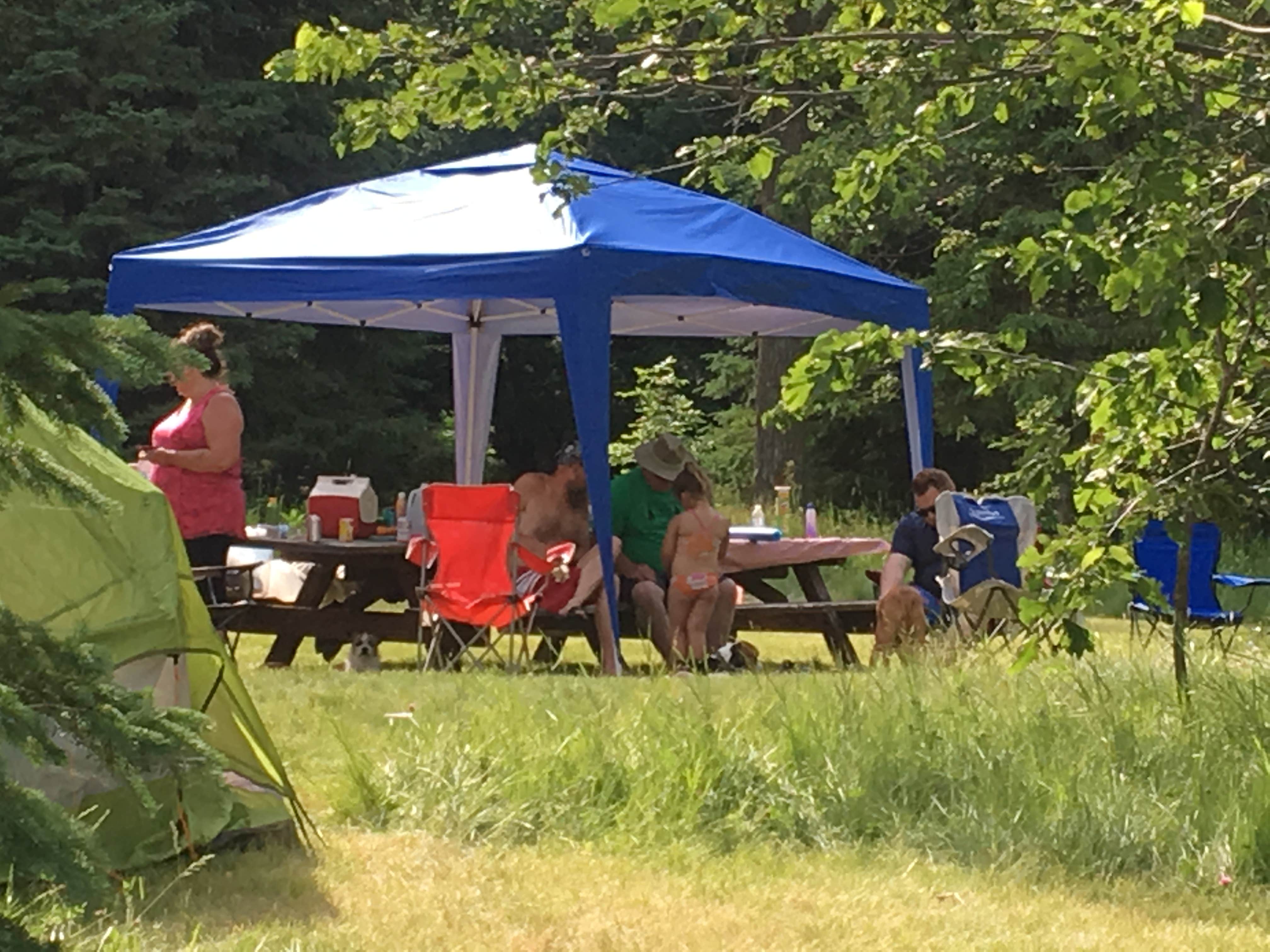 Brandy S.'s photo of tent camping at Star Island Campground near Cass Lake, MN