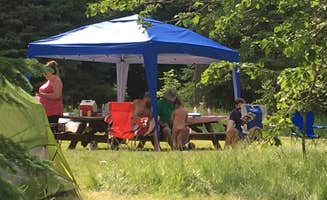 Brandy S.'s photo of tent camping at Star Island Campground near Bigfork, MN